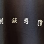 Bug Screaming IJEN KAI T-Shirt